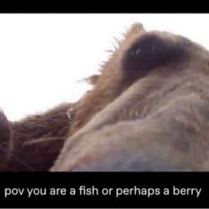 Meet your Posher, Jimmy